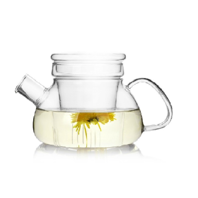 Outdoor 800ml Glass Tea Pots Set with Lid