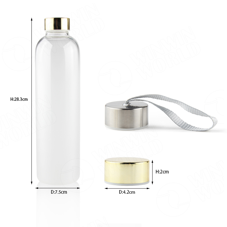 Cheap Price Custom Logo Frosted Glass Water Bottle with Sling for Sale 2020 Travel Borosilicate Glass Water Bottles for Sport